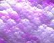 Lavender Storm