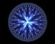 Nocturnal Flower